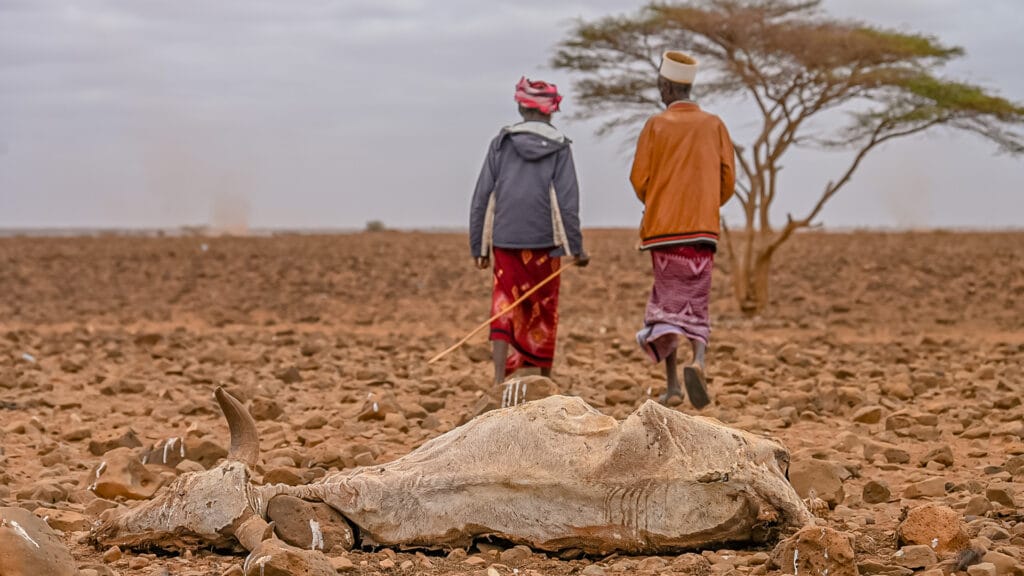 Climate Change: Drought in Horn of Africa by Miaron Billy