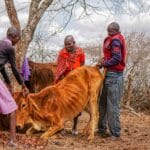Climate Change, Child Marriages & FGM