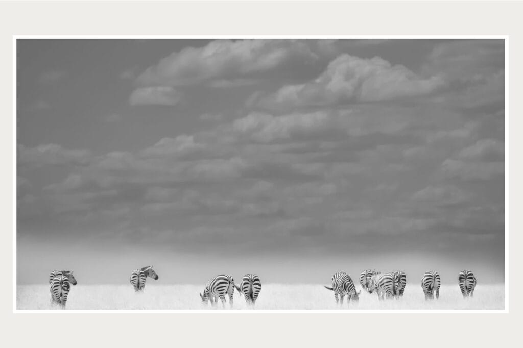 Billy Miaron A Touch of Nature Photography Exhibition Nairobi Kenya Ardhi Gallery Fine Art Nature Photography