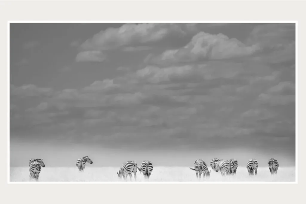 Billy Miaron A Touch of Nature Photography Exhibition Nairobi Kenya Ardhi Gallery Fine Art Nature Photography