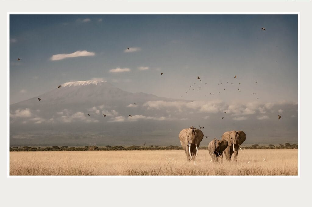 Billy Miaron A Touch of Nature Photography Exhibition Nairobi Kenya Ardhi Gallery Fine Art Nature Photography 