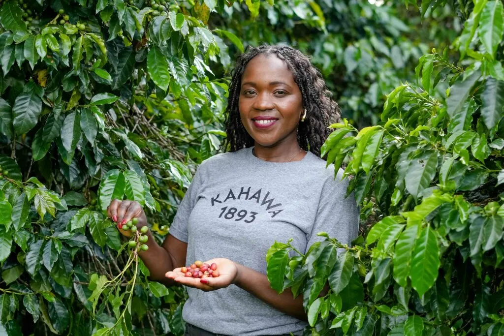 Margaret Nyamumbo, founder of Kahawa 1893 in a coffee farm in Kisii, Kenya. Photo by Billy Miaron, Kenyan award-winning documentary photographer. Margaret Nyamumbo, founder of Kahawa 1893 in a coffee farm in Kisii, Kenya. Photo by Billy Miaron, Kenyan award-winning documentary photographer.