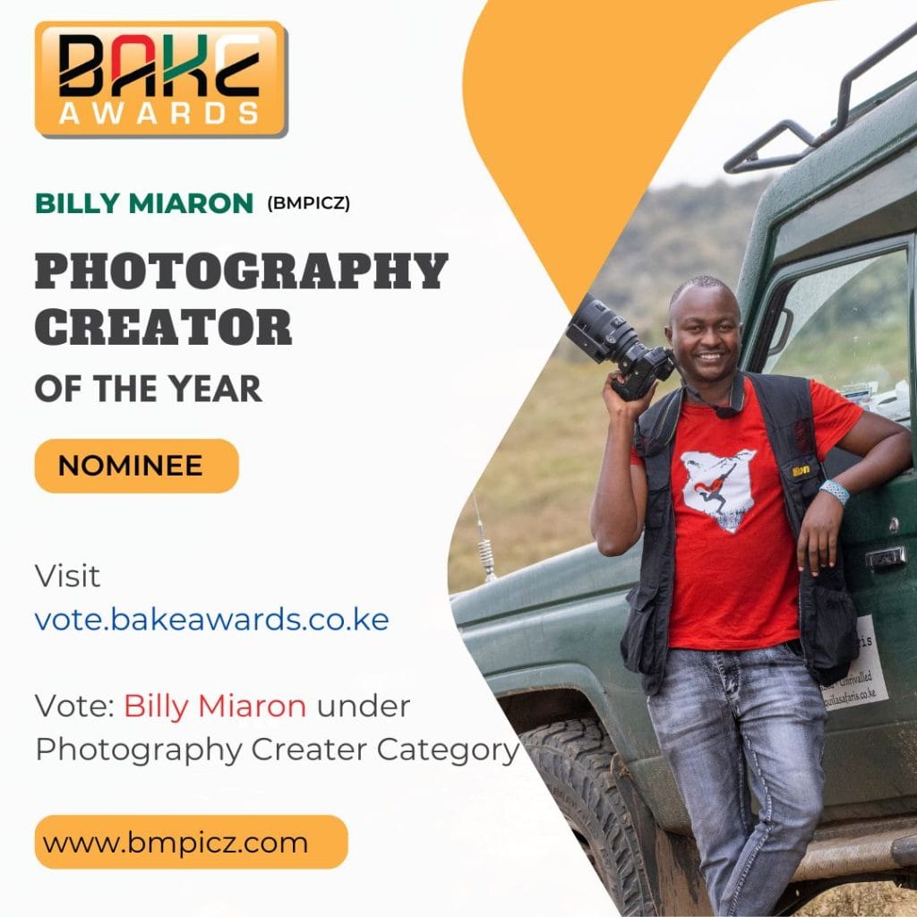 Vote For Billy Miaron Photography Creator BAKE Awards. Photographer of the year 2025