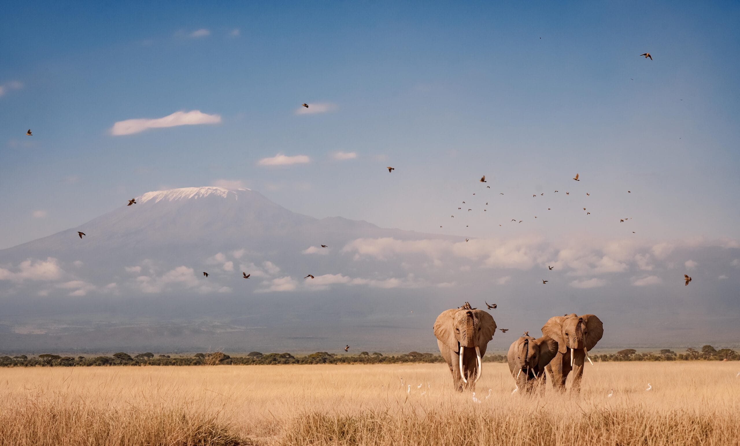 Bmpicz by Billy Miaro Best Documentary Photographer in Kenya